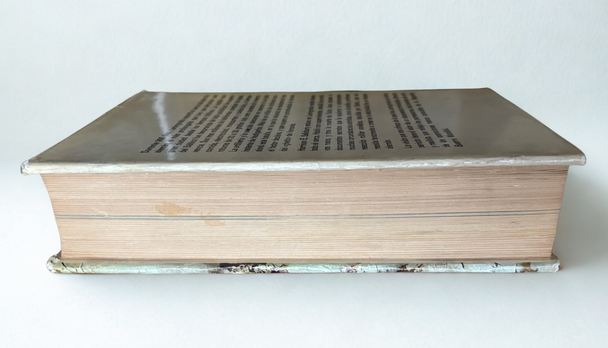 Los 900 Días: El Sitio de Leningrado – Harrison E. Salisbury | 1ª Edición Ilustrada 1970 | Historia de la Segunda Guerra Mundial - Image 3